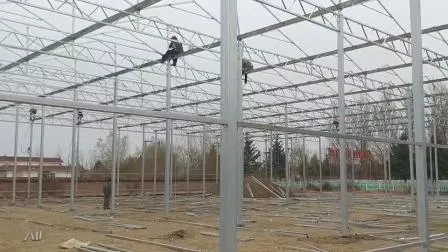 Matériau de serre prix d'usine squelette galvanisé pour serre en verre